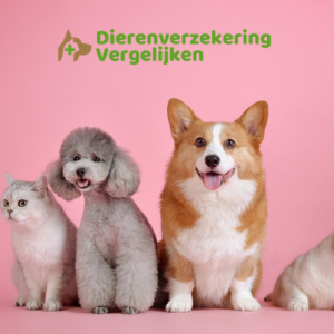 Hondenverzekering vergelijken op Dierenverzekering-Vergelijken.nl